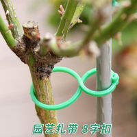 50Pcs Reusable 8-Shaped Buckle Plant Stem Tomato Flower Fastener Tree Lock Gourd Ring Plastic Gardening Accessories