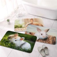 【YF】✑℡♣  little white rabbit  Printed Floor Non-Slip Room welcome Doormat