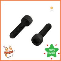 สกรูเกลียวมิลน็อตหัวจม DEXZON 6X25 มม. 8 ตัวSOCKET HEAD CAP SCREW DEXZON 6X25MM 8PCS **ด่วน สินค้าเหลือไม่เยอะ**