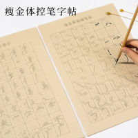 Thin Body Entry Copying Brush Writing Post Stroke Side Part Beginner Brush Calligraphy Control Pen Exercise Full Set