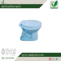 สุขภัณฑ์ ส้วมนั่งราด แบบนั่งราบราดน้ำ พร้อมฝา สีฟ้า CITY รุ่น 2250SB