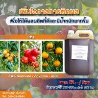 ฮอร์โมนไข่เพื่อการเกษตร ขนาด 5 ลิตร