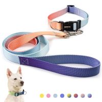 Nylon Dog Collar Leash Lead Adjustable Pet Cat Dog Collar Traction Leash Suitable Small Medium Large Dogs Bulldog Pugs Beagle