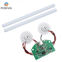 pcbfun โมดูลการพ่นละอองเครื่องทำให้อากาศชื้นขนาดเล็กแบบอินเตอร์เฟซ DC5V Type-C โมดูลเครื่องพ่นละอองคู่พร้อมสำลีก้านเพิ่มความชื้นแบบทำมือ