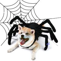 ☃♣▦ เทศกาลสงกรานต์ Halloween Dog Cat Costume Simulation Spider Shaped Creative Pet Wearing Decorative Outfit Pet Supplies Accessories