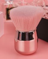 Luxury Shinny Make Up Brush Silver Soft Mushroom Powder Brush Pink Angled Flat Air Blusher แปรงแต่งหน้า