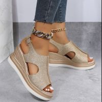 2023 New Cut Out Glitter Color Golden Silver Women Casual Wedges Sandals One Line Buckle Peep Toe Women Summer Beach Sandals