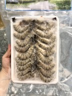 Tôm sú vỏ quảng canh Seaprodex kích cỡ 31 40 - 500gr thumbnail