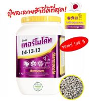 ปุ๋ยเทอร์โมโค้ท 14-13-13 ขนาด 1 กิโลกรัม Thermocote ปุ๋ยแคคตัส ปุ๋ยละลายช้า ปุ๋ยออสโมโค้ท แท้ 100% จากญี่ปุ่น สำหรับเเคคตัส กล้วยไม้ ไม้ประดับ