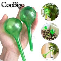 【CW】 1pcs Watering Bulbs Self-Watering Balls Garden Can Houseplant Device Drip Irrigation System