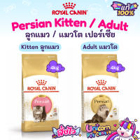 Royal Canin Persian Adult 4kg (Exp 08/24) / Kitten Persian 4kg (Exp 07/24) อาหารแมวโต ลูกแมว เปอร์เซีย ถุงขนาด 4 กก.