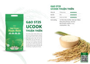 UCook Thuan Thien ST25 Rice- 5kg