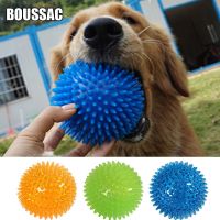 Dog Toys Cat Puppy Sounding Toy Polka Squeaky Tooth Cleaning Ball TPR Training Pet Teeth Chewing Toy Thorn Balls Accessories Toys