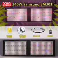 Samsung LED LM301H 240W ไดรเวอร์ Meanwell พืชไฮโดรโปนิกส์เติบโตกล่องพืชเติบโตไฟพืชเติบโตเต็นท์สวิทช์ไฟดอกผัก