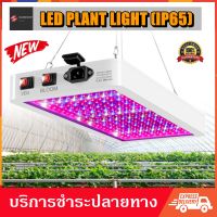 LED Grow Light 1000W(216LED)-2000W(312LED) ไฟปลูกต้นไม้ ไฟปลูกพืช ไฟช่วยต้นไม้โตเร็ว มีสวิตช์ ปิด-เปิด