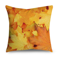 Autumn style Design Cushion Cover Pillow Case Sofa Pillow Cover(45 cm x 45 cm)