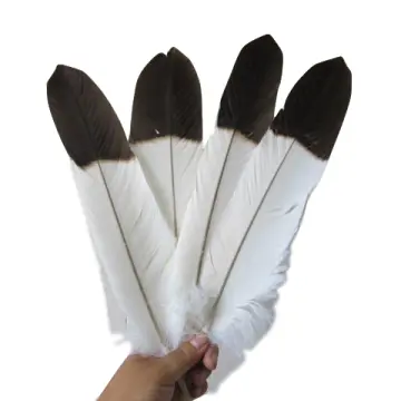 10Pcs/Lot Natural Eagle Bird Feathers for Crafts 40-45cm/16-18inch White  Black Long DIY Pheasant Feather Decor Plumes Decoration