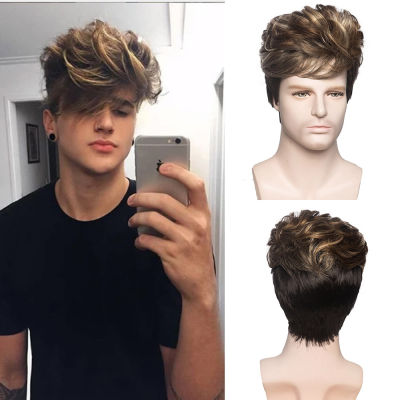 Men Short Straight Wig Ombre Grey Brown Synthetic Wig White for Male Hair Fleeciness Daily Party Wig