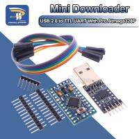 【LZ】™✎  Módulo 6pin cp2102 usb 2.0 para ttl uart módulo   1 peça pro mini módulo atmega328 5v 16m para arduino compatível com nano