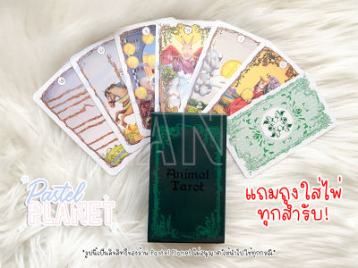 [พร้อมส่ง🇹🇭] Animal Tarot ไพ่ยิปซี ไพ่ทาโรต์