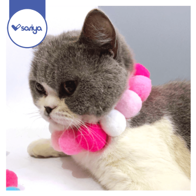 ปลอกคอแมว ปอมปอม(CC01)ปลอกคอหมา ปลอกคอสัตว์เลี้ยง Pet Fluffy ball Collar