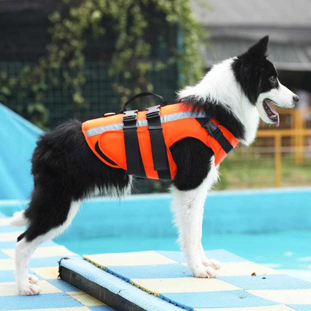 Reflective & Adjustable Dog Rescue Flotation Swimming Vest for Small Medium and Large Dogs PAWISE Dog Life Jacket