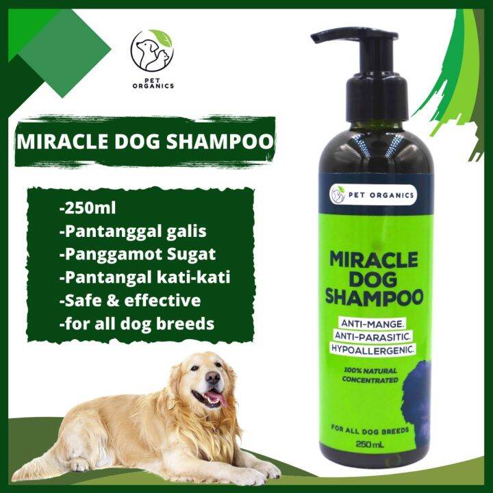 FOR ALL DOG BREEDS)Legit 100 Miracle Dog Shampoo Best for AntiMange