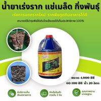 B1 Vitamim ยาเร่งราก (4ลิตร) แช่เมล็ด แช่กิ่งพันธุ์ น้ำยาเร่งราก B-1 บี1 วิตามินบี1 VitamimB1