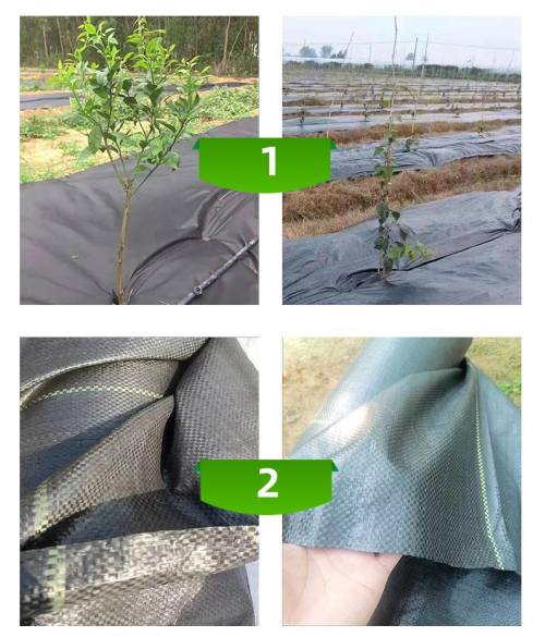 พลาสติกคลุมดิน-พลาสติกคลุมแปลง-ผ้าคลุมวัชพืช-พลาสติกคลุมวัชพืช-ทนทาน-ซึมผ่านได้-ป้องกันวัชพืช-1x5-2x5-1x10-1-5x10-2x10-3x10-คลุมแปลงเกษตร-คลุมวัชพืช-ผ้าควบคุมวัชพืช-ผ้ากำจัดวัชพืช-พลาสติกคลุมหญ้า-พลาส