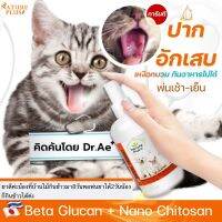 ✬วิตามินเสริมภูมิคุ้มกัน NaturePlus สำหรับหมาแมวและสัตว์เลี้ยงอื่นๆ ช่องปากอักเสบ ป่วยบ่อย ป่วยเรื้อรัง ต้องลอง By.หมอเอ๋❉