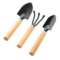 Ensemble doutils de jardin avec manche en bois mini pelle râteau bêche bonsaï 3 pièces