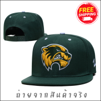 ส่งฟรี หมวก หมวกแก๊ป Snapback งานเกรดเอ พร้อมส่งในไทย