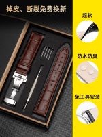 hot style Mens watch strap cowhide crocodile substitute Mido Le Locle dw ck leather