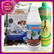 Bộ 3 Sản Phẩm  NEMA + PSEUDOMONA + KÍCH RỄ COMBO SINH HỌC PHỤC HỒI CÂY BỊ