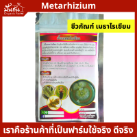 เมธาไรเซียม Metarhizium ชีวภัณฑ์ เมทาไรเซียม แบบผง100g. ใช้ได้ถึง100ลิตร [มีวิธีการใช้] สำหรับ หนอนและแมลง ด้วง ปลวก หนอน เพลี้ยต่างๆ แมลงปากกัดปีกแข็ง เมททาไรเซียม เมตาไรเซียม เป็นจุลินทรีย์ organic ปลอดภัย