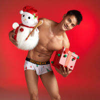 2021 New Christmas Mens Underwear Seobean Letter Printed Mens Underwear Cotton Boxers Wholesale