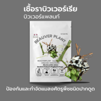 บิวเวอร์เรีย (100g) กำจัดแมลงศัตรูพืช ออร์แกนิคแท้ เพาะเชื้อในห้องLAB100% ปลอดภัยต่อผู้ใช้และสัตว์เลี้ยง