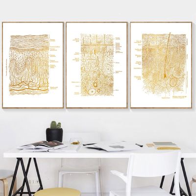 Vintage Esthetician Skin Anatomy Wall Art ภาพวาดผ้าใบ Retro โปสเตอร์และพิมพ์ภาพผนัง Medical Doctor Clinic Home Decor