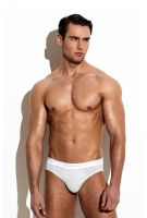 SALIGIA Line Serie Brief