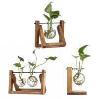 Home Decor Terrarium Tabletop Bonsai Planter Hydroponic Plant Vases Wooden Frame Glass Vase Flower Pot