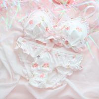 Kawaii Lolita Bra &amp; Panties Set Cute Japanese Wirefree Soft Underwear Sleep Intimates Set Lingerie Sakura Bra and Panty Set