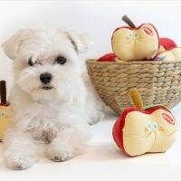 DY Loving ของเล่นของเล่น Dog Squeaker เกาหลี,ของเล่นรูป Apple สร้างสรรค์ดมกลิ่นชิสุ