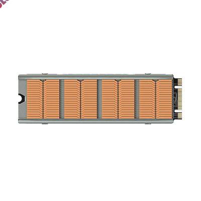 อะลูมินัมอัลลอยหม้อน้ำเคสระบายความร้อนฮีทซิงค์ระบายความร้อนระบบ NVMe /Ngff พร้อมแผ่นความร้อนซิลิโคน M.2 2280 SSD คูลเลอร์อุปกรณ์คอมพิวเตอร์ป้องกันการกัดกร่อน