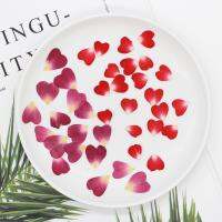 100pcs 1cm Heart Shape Pressed Dried Rose Flower Petals For Jewelry Bookmark Photo Frame Phone Case Postcard Making