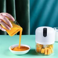 【CW】 USB Charging Garlic Crusher Electric Masher Ginger Mincer Machine Food Processor