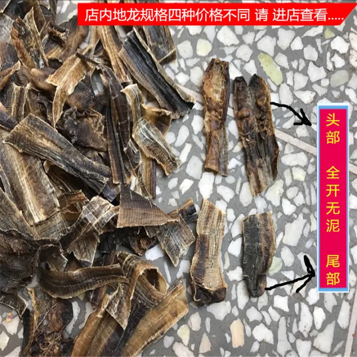 Chinese herbal medicine guangdilong earthworm skin big earthworm