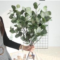 2023 New Eucalyptus tree branch Round leaves artificial Money leaf Retro Eucalyptus plant decoration fake flower faux foliage Spine Supporters