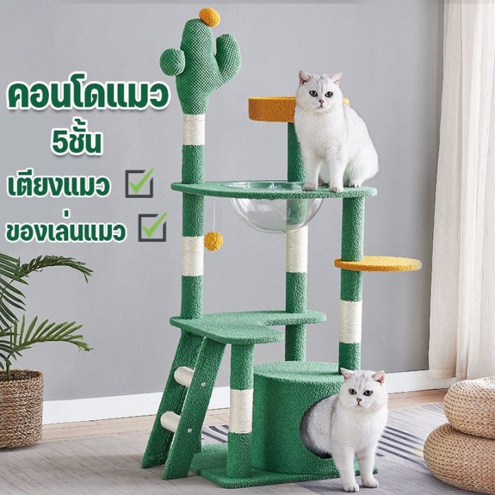 loose-คอนโดแมว-5ชั้น-เสาลับเล็บแมวได้-เตียงแมว-ของเล่นแมว-บ้านแมว