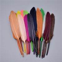 100Pcs/Lot Feathers for Crafts 10-15CM/4-6 Colored Needlework Decoration Feather