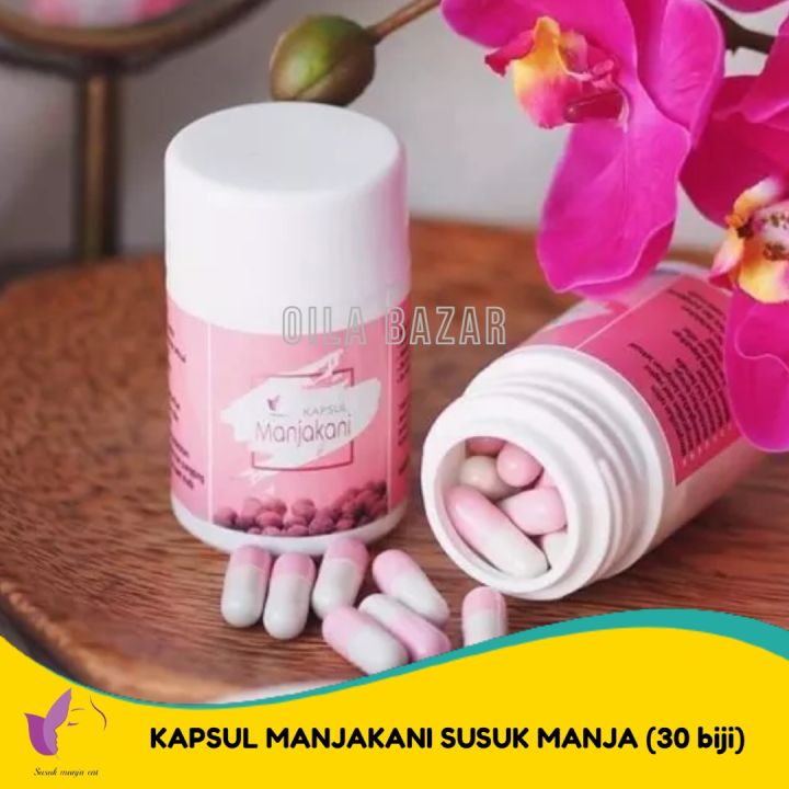 SUSUK MANJA ENT Kapsul Manjakani 30 biji - 100% MANJAKANI / Jamu ...